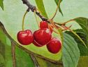 Frutas 8